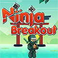 Ninja Kaçışı