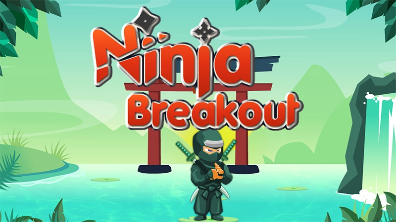 Ninja Kaçışı